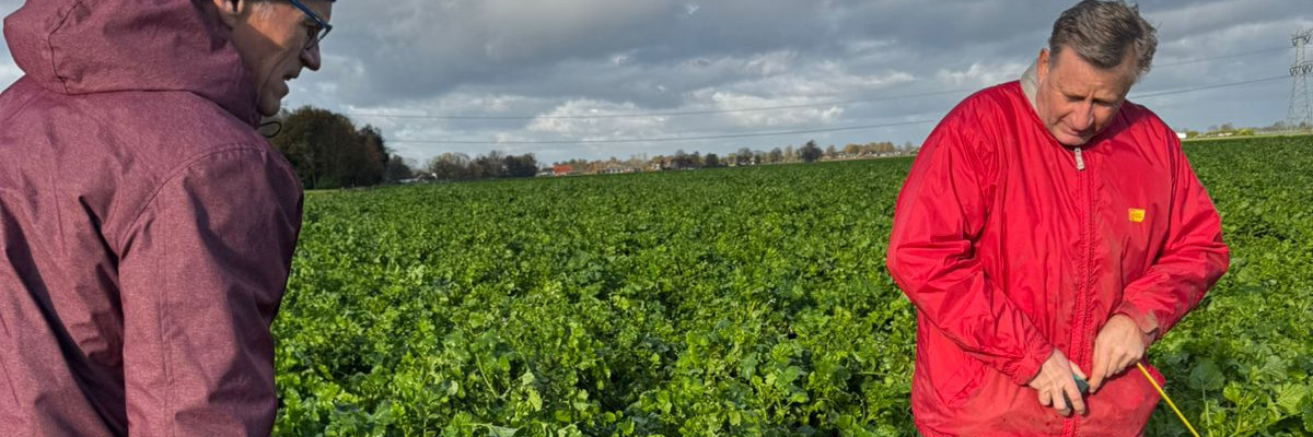 Monitoring Cover Crops for Carbon Farming